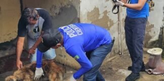 Ação integrada mobiliza forças de segurança na Operação Quatro Patas 2026 em Campina Grande