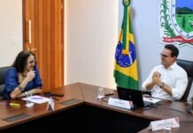 Governador Lucas Ribeiro trata sobre avanço na implantação do Ciquanta com ministra Luciana Santos