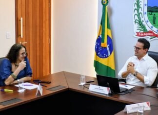 Governador Lucas Ribeiro trata sobre avanço na implantação do Ciquanta com ministra Luciana Santos