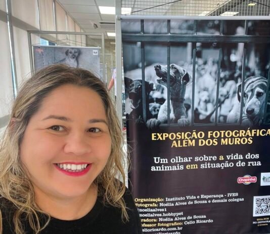 Exposição fotográfica “Além dos Muros”, no Shopping Luiza Motta, convida público a refletir sobre a causa animal