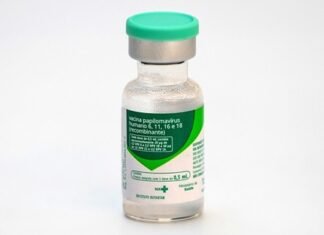 Ministério da Saúde amplia vacinação contra HPV para crianças vítimas de violência sexual