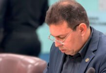 Fim do abandono? Projeto de Márcio Guedes quer identificar onde estão os animais que mais precisam de ajuda em Campina Grande