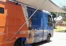 Governo da Paraíba oferta 170 vagas para castração gratuita de cães e gatos em Puxinanã