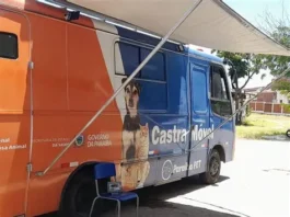 Governo da Paraíba oferta 170 vagas para castração gratuita de cães e gatos em Puxinanã