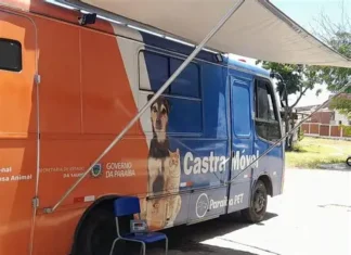 Governo da Paraíba oferta 170 vagas para castração gratuita de cães e gatos em Puxinanã