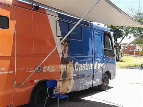 Castro Móvel