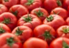 Tomate fica 24% mais caro em outubro, aponta prévia da inflação do IBGE