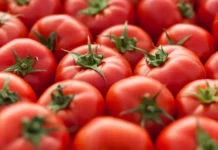 Tomate fica 24% mais caro em outubro, aponta prévia da inflação do IBGE