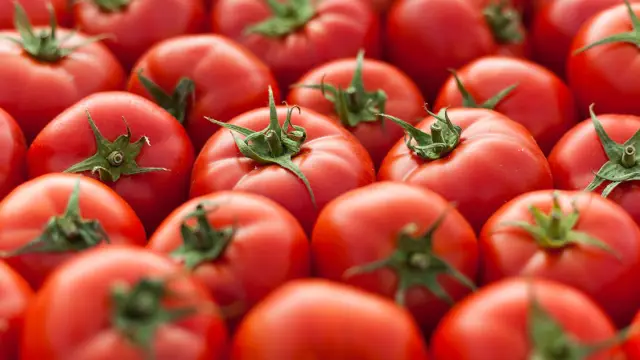 tomate-20160320-0066