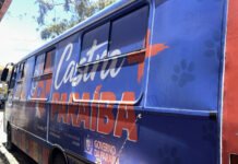 Castramóvel chega ao José Américo com 90 vagas para castração de cães e gatos
