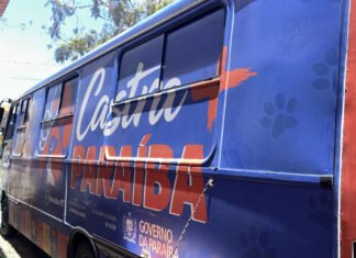 Castramóvel chega ao José Américo com 90 vagas para castração de cães e gatos